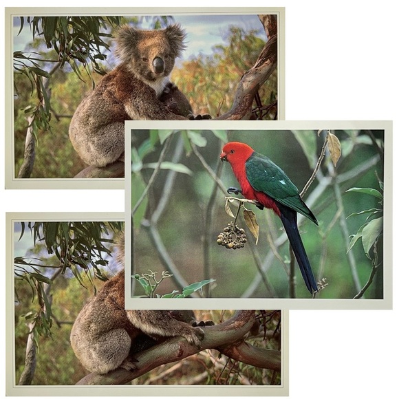 Australian Wildlife Photography Greeting Cards - Picture 6 of 16